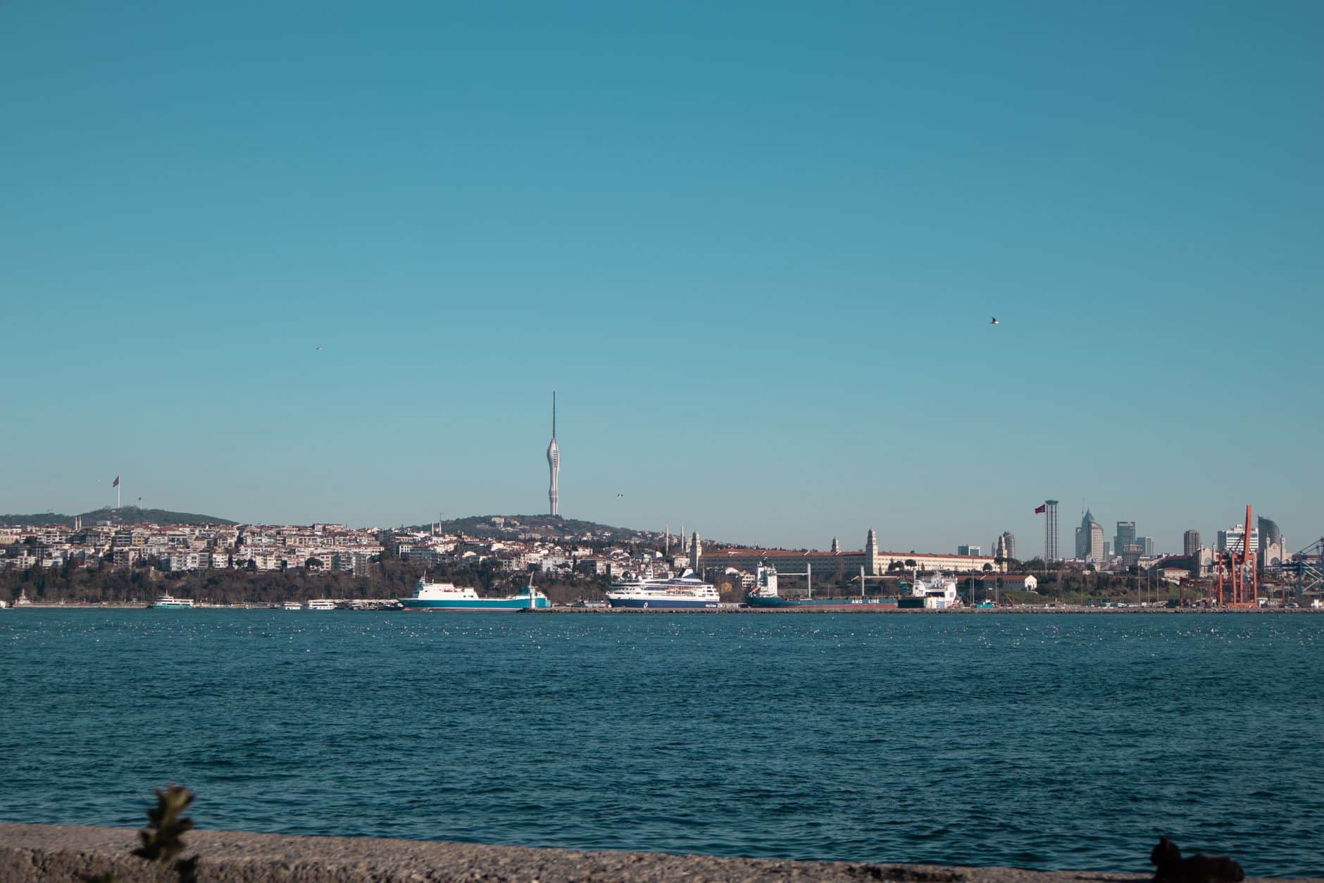 US E-2 Investor Visa via Turkish Citizenship: How the Treaty Route Works